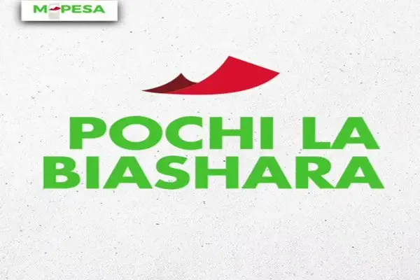 All you need to know about pochi la biashara
