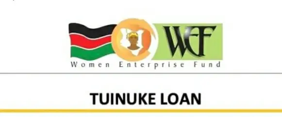 how to apply for LPO financing from women enterprise fund