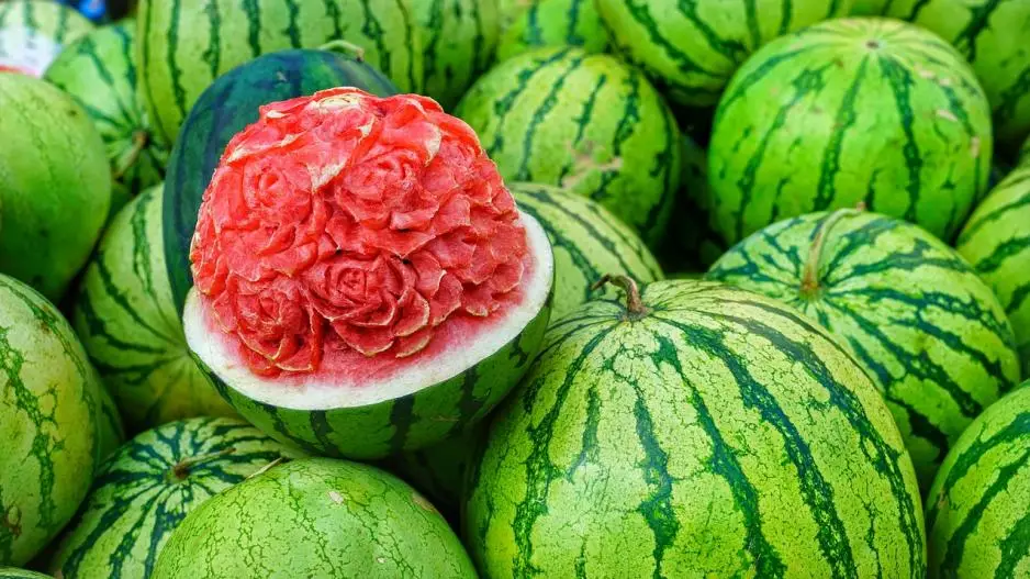 watermelon growing in Kenya