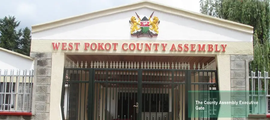 Elected MCAs In West Pokot County
