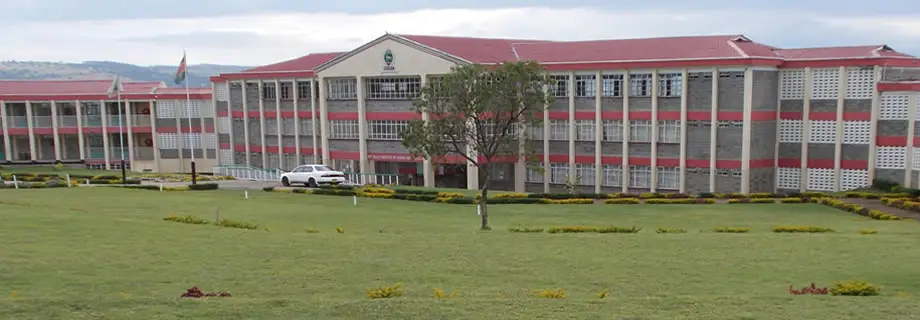 COURSES offered at Rift Valley Institute Of Science And Technology rvist