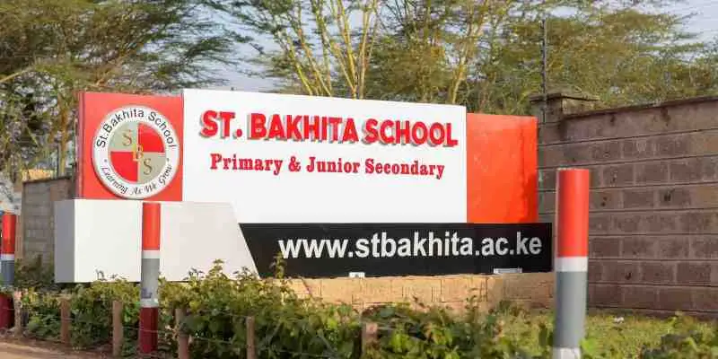 top Best Private Primary Schools In South B