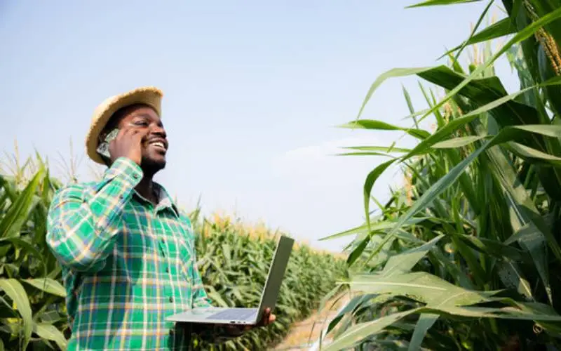top 8 best Online Market Platforms For Farmers In Kenya
