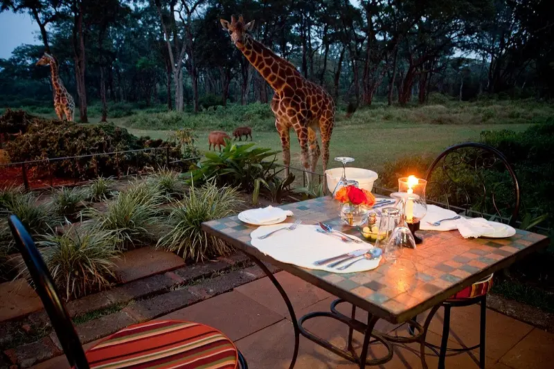 Top 6 best Romantic Places to Propose In Kenya