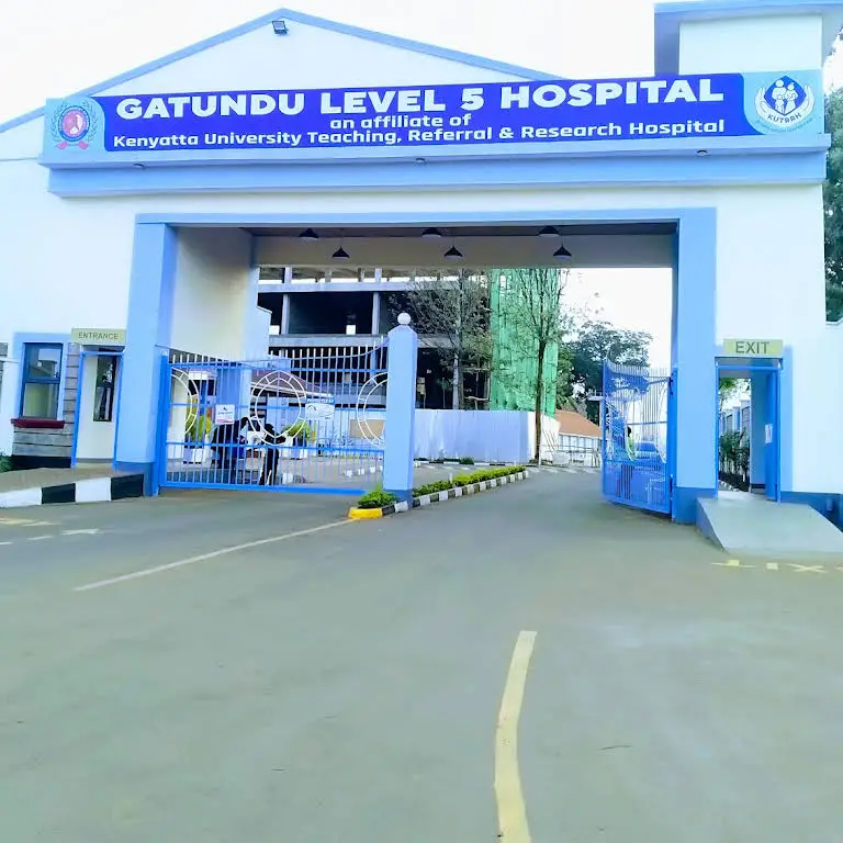 Linda Mama Hospitals In Kiambu County