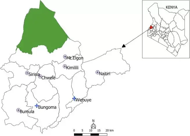 Wards In Bungoma County