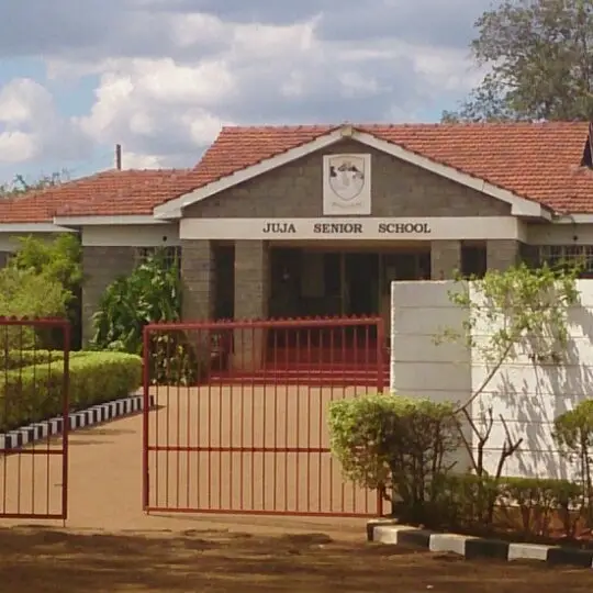 top 10 Best Private Primary Schools Along Thika Road