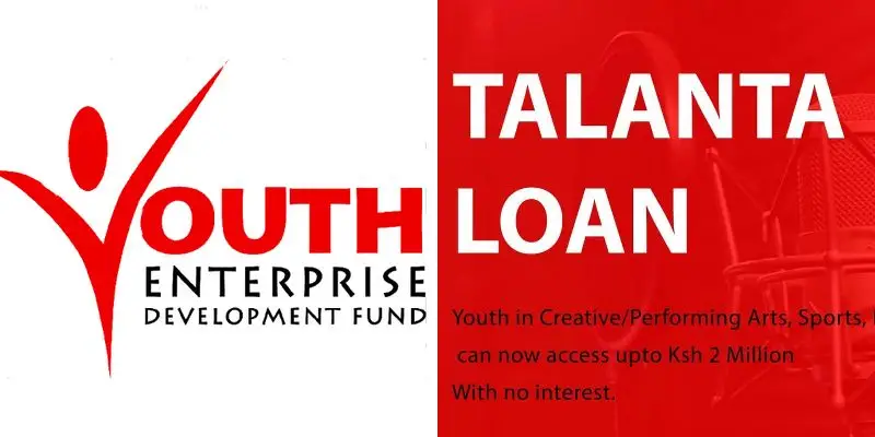 6 Loans Offered By Youth Enterprise Development Fund