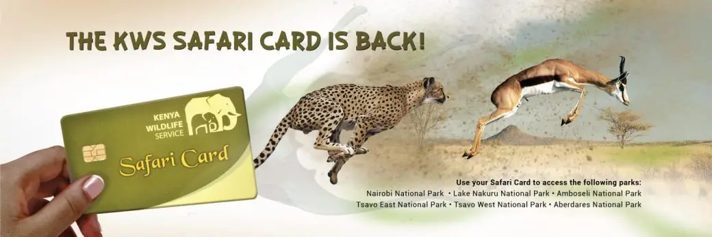 how to apply for kws entrance tickets through ecitizen - for national parks in kenya