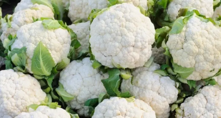 cauliflower farming in Kenya today - a step by step guide