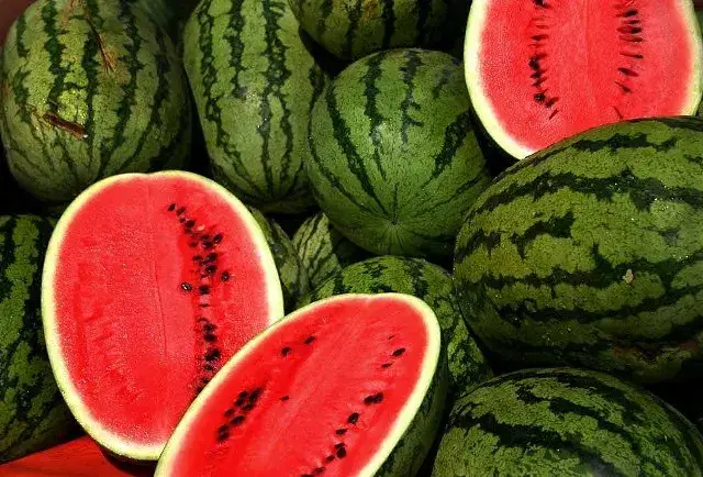 watermelon farming in Kenya - a simple guide